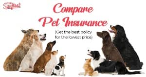 Compare pet insurance