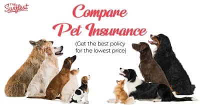 Compare Pet Insurance