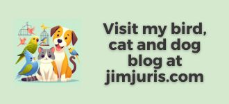 Visit my Bird, cat and dog blog at jimjuris.com